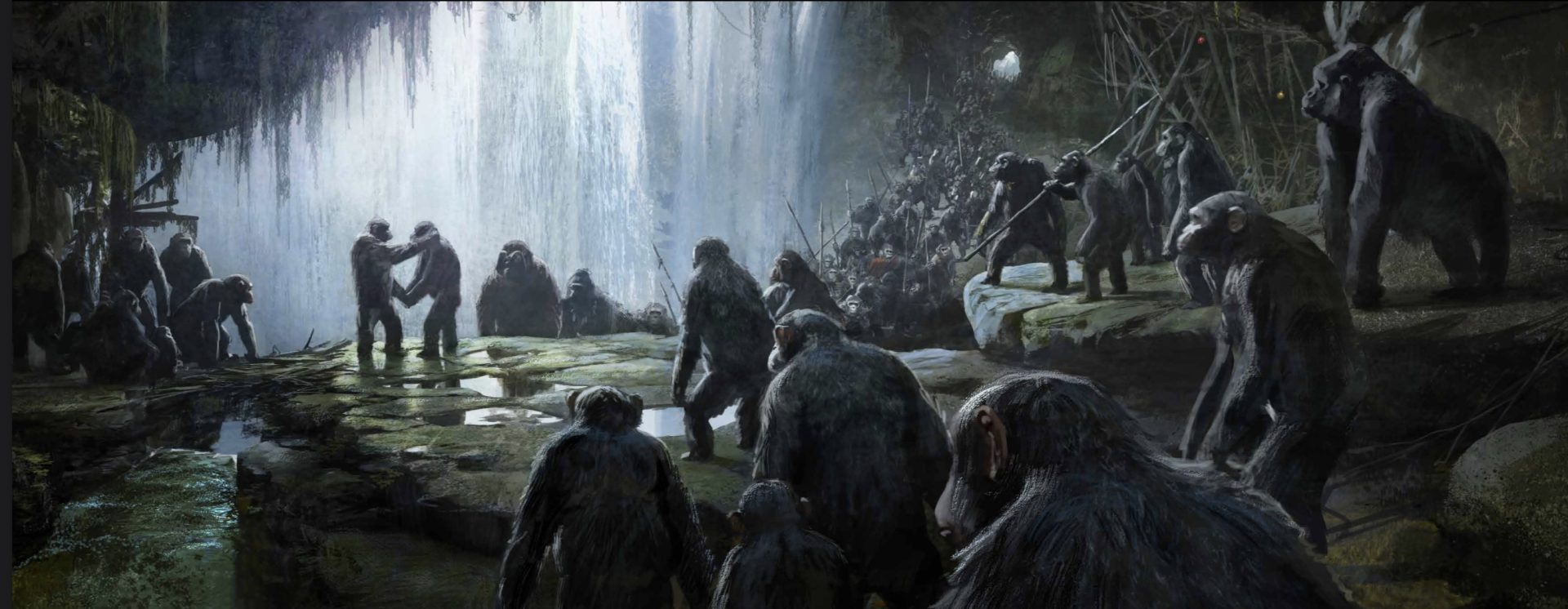 Group of apes gathered in a cave